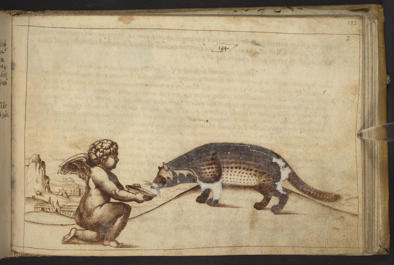 Chérubin et une créature, de Historia Animalium - Italian School