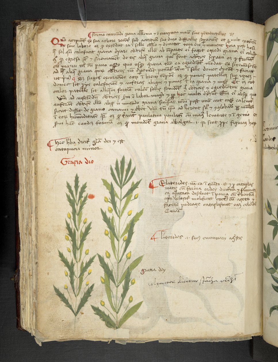 Add MS 41623 f.39v 