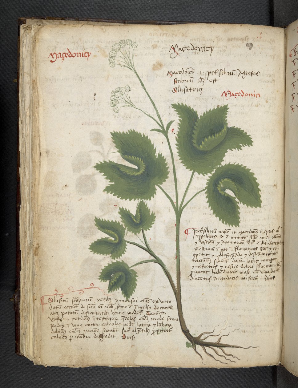 Add MS 41623 f.67v 