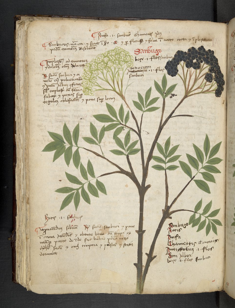 Add MS 41623 f.72v 