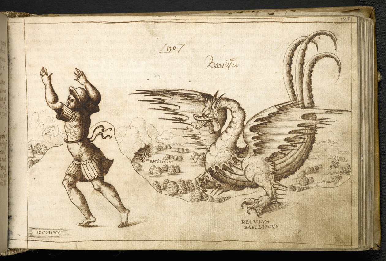Dragon de 