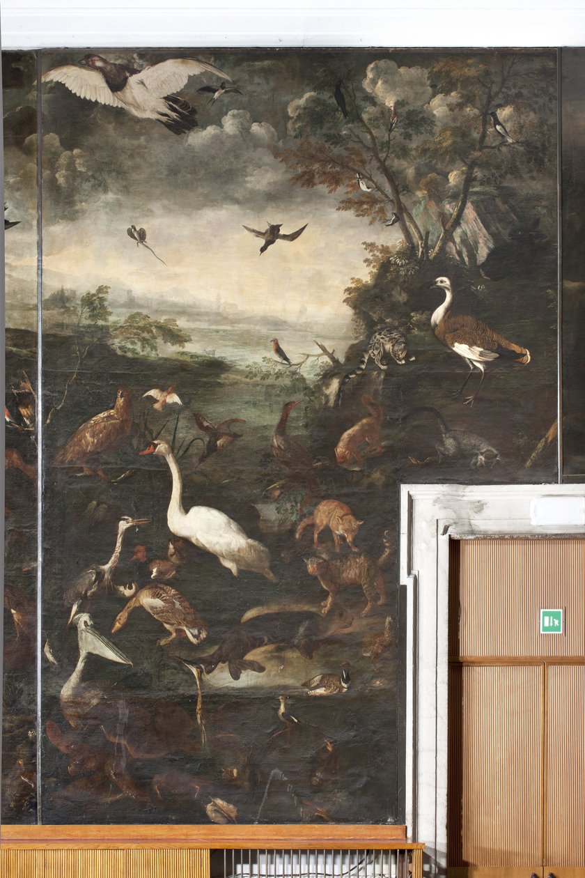Animaux, Mythe d
