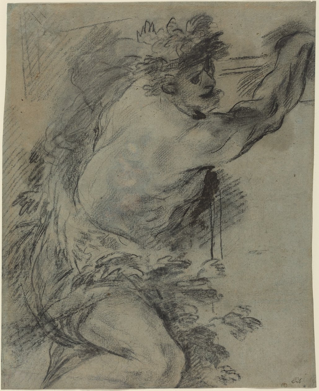 Bacchus (craie noire avec lavis gris sur papier bleu) - Italian School
