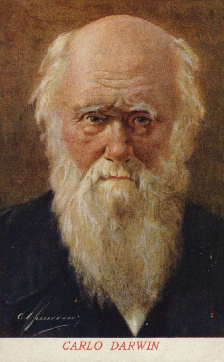 Charles Darwin (1809-1882), naturaliste anglais (lithographie couleur) - Italian School