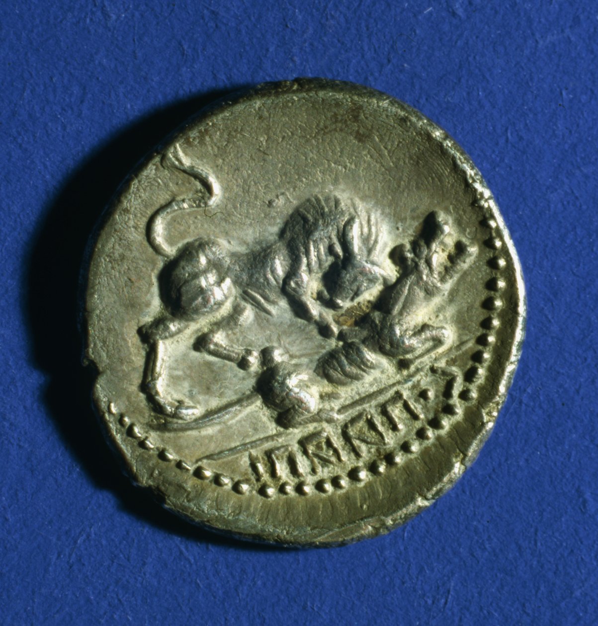 Pièce des tribus italiennes montrant un taureau attaquant la louve romaine, 89-90 av. J.-C. (argent) - Italian School