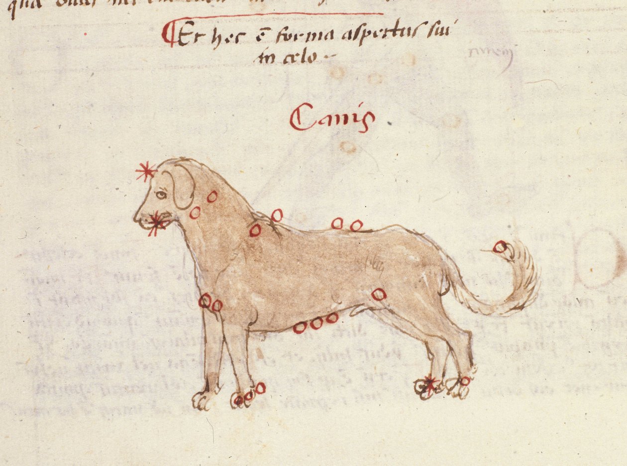Constellation du chien (Canis). Miniature de 