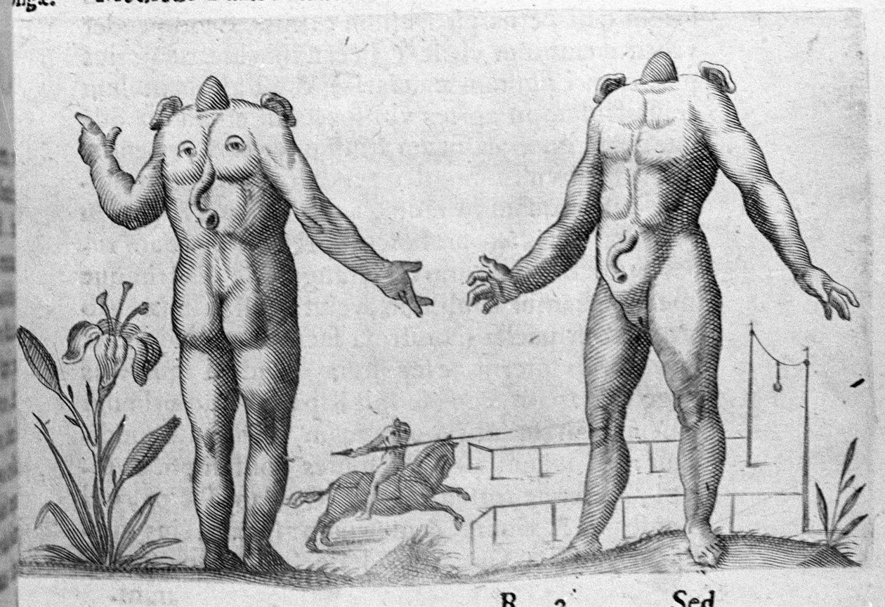 Différents types de monstres humains : un homme sans tête. Gravure de « De monstrorum natura, causis et differentiis » par Fortunio Liceti, 1646 - Italian School