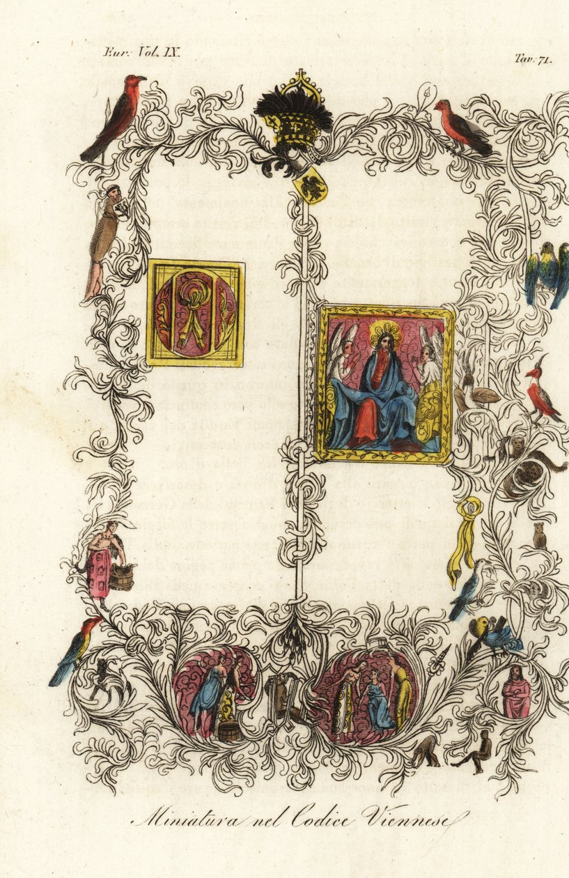 Première page du célèbre Codex de Vienne de la Bulle d