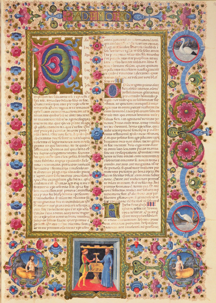 Fol.208r Lettre de Saint Paul à Timothée, de la Bible Borso d