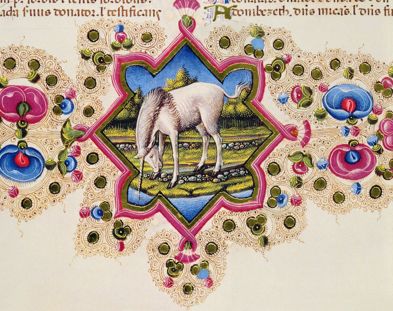 Fol.245V Une licorne, de la Bible Borso d