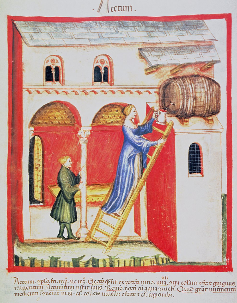 Vinaigre, illustration du Tacuinum Sanitatis Codex Vindobonensis - Italian School