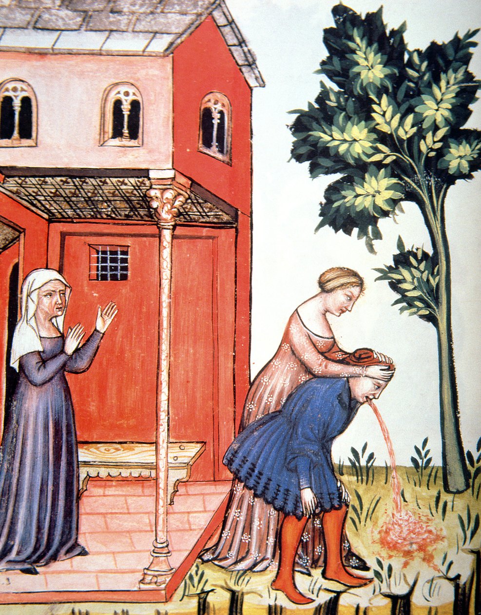 Vomissement, illustration du Tacuinum Sanitatis Codex Vindobonensis - Italian School