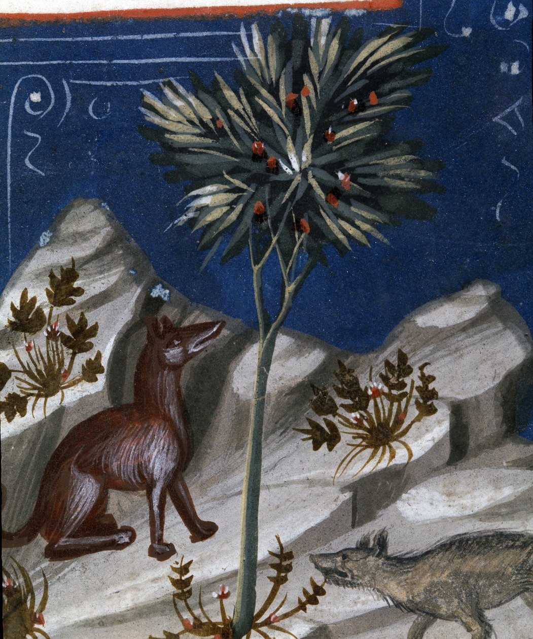 Renard et un loup, illustration du "Codex Justianus", 1350 - Italian School