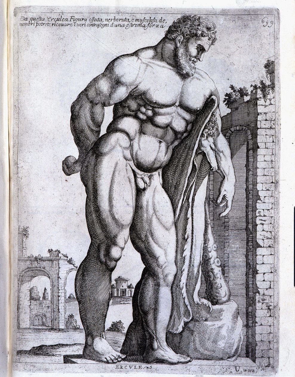 Hercule (Héraclès) - dans « Opera di Giuseppe d
