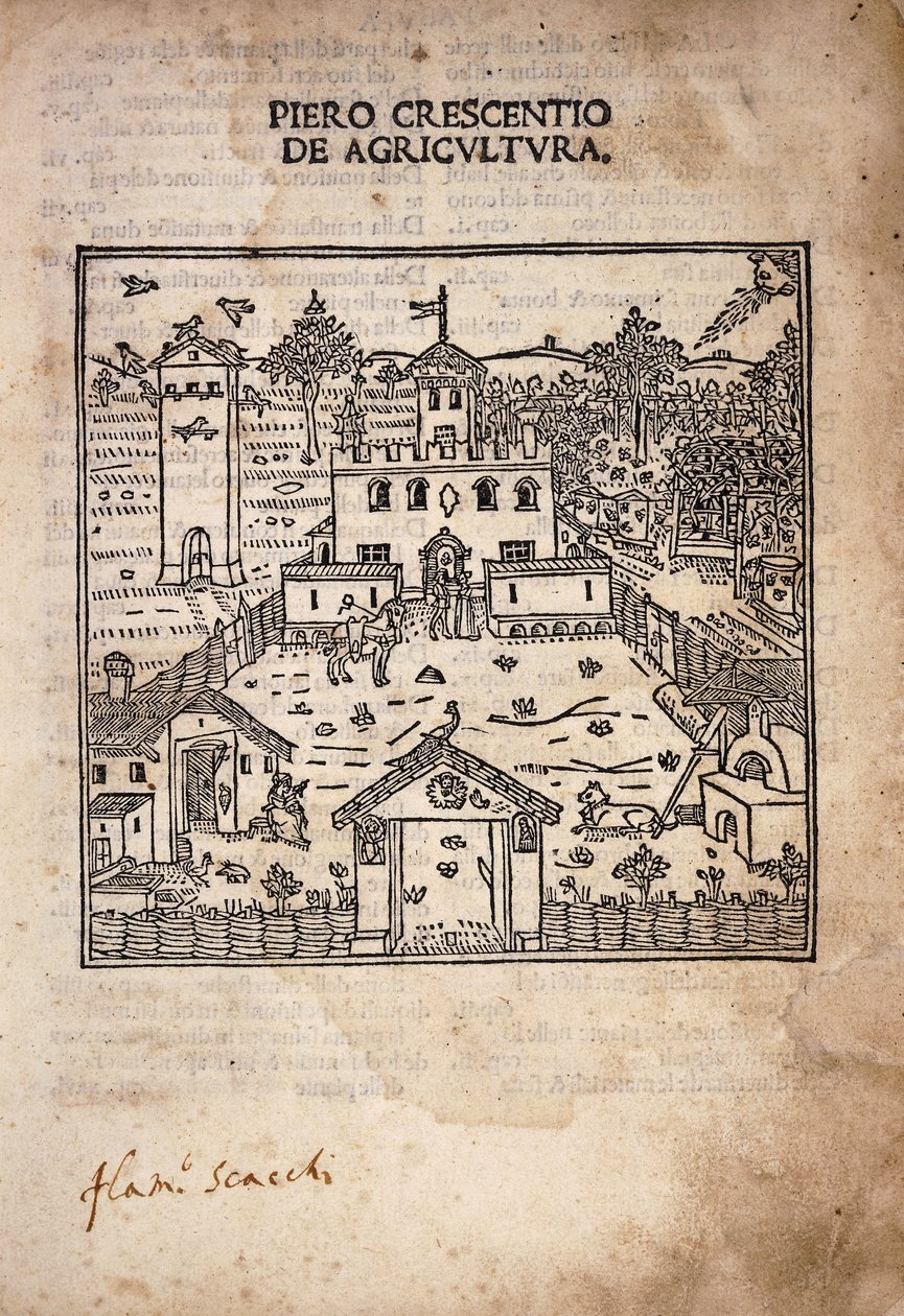 Page de titre illustrée de 