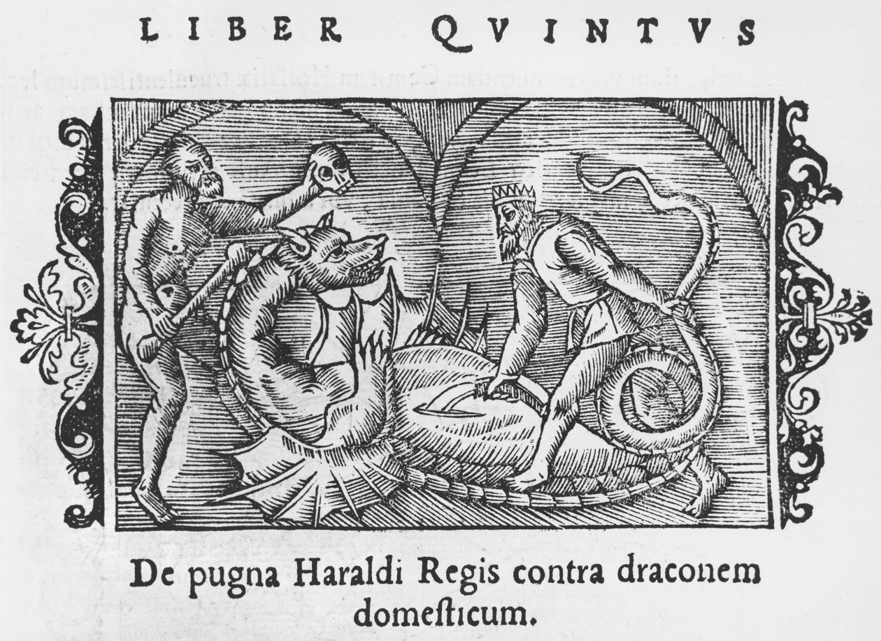 Le roi Harald combattant un dragon, illustration de Historia de Gentibus Septentrionalibus par Olaus Magnus (1490-1558), publié à Rome, 1555 - Italian School