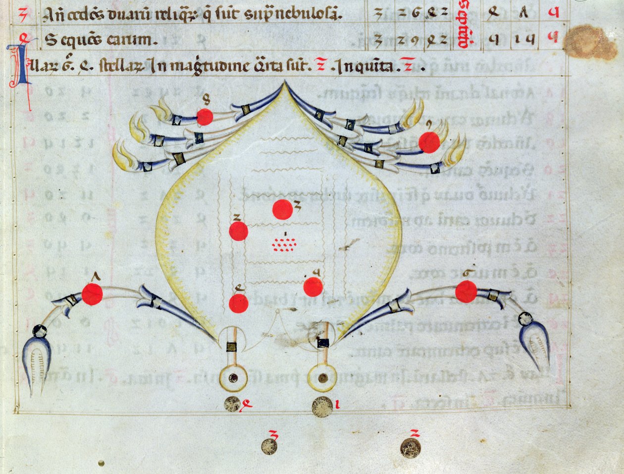 Ms.1036 La Constellation du Cancer, du Liber de stellis fixarum, traduction latine d