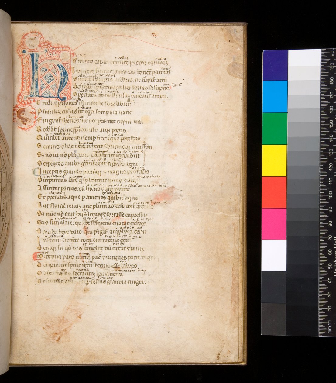 Ms 315. Horace, Ars Poetica et Epistulae, f.1r. Initiale décorée [N] en remplissage damassé bleu et rouge et travail de plume environnant en rouge - Italian School
