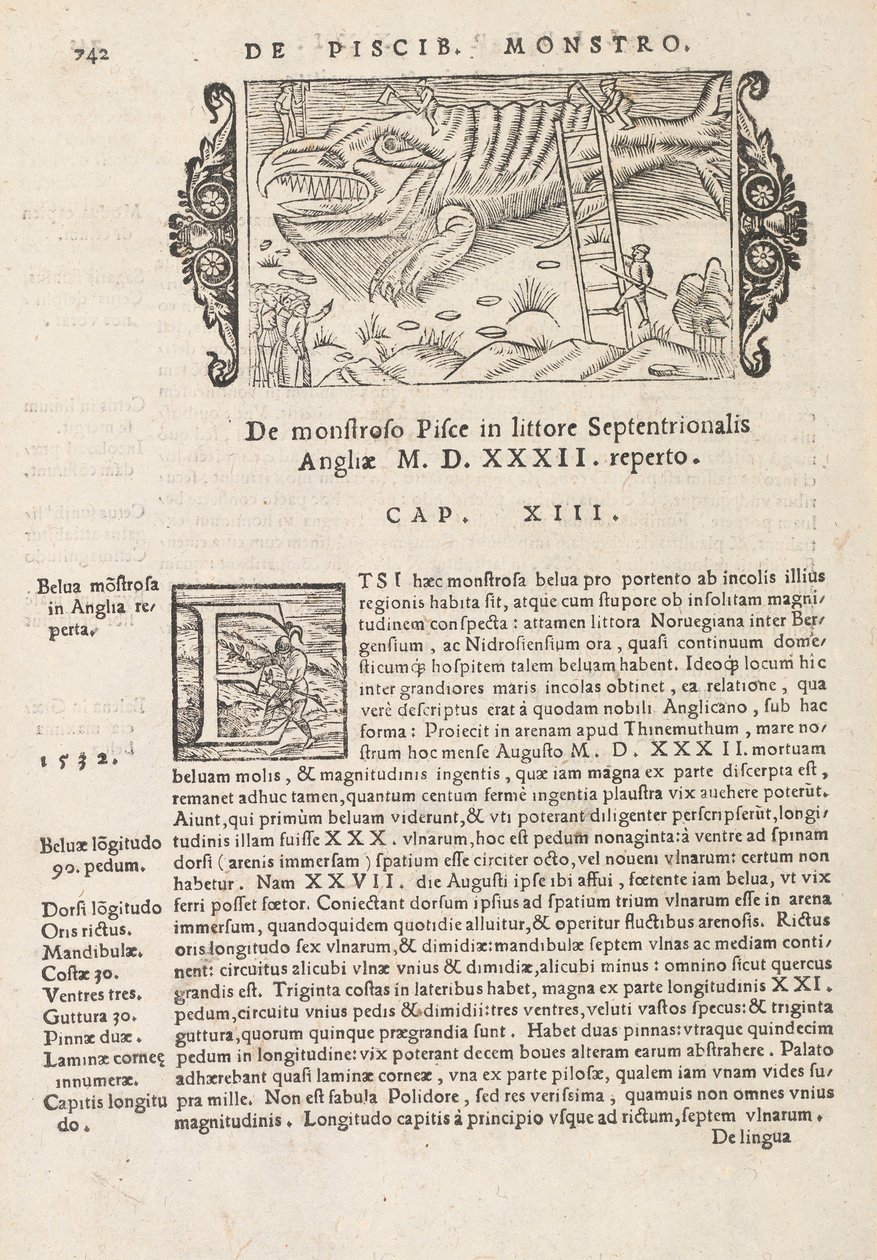 Page 742 de Historia De Gentivus Septentrionalibus par Magnus Olaus, Rome 1565 - Italian School