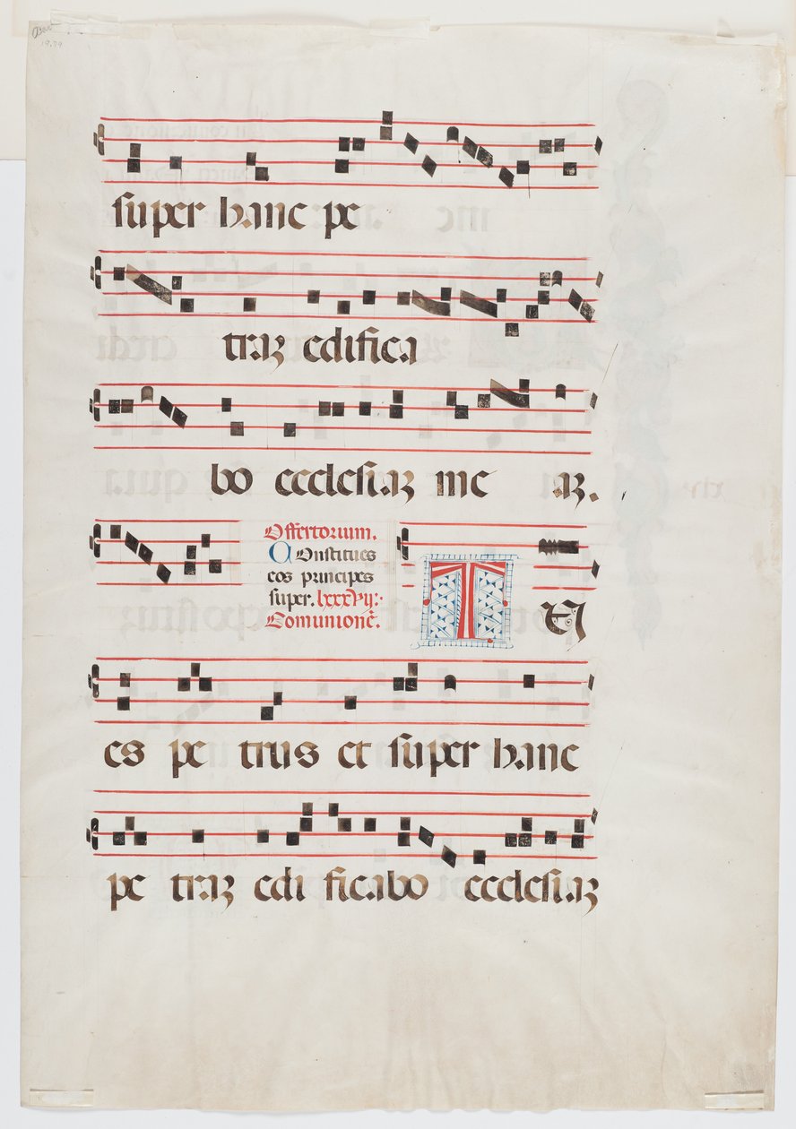 Page d
