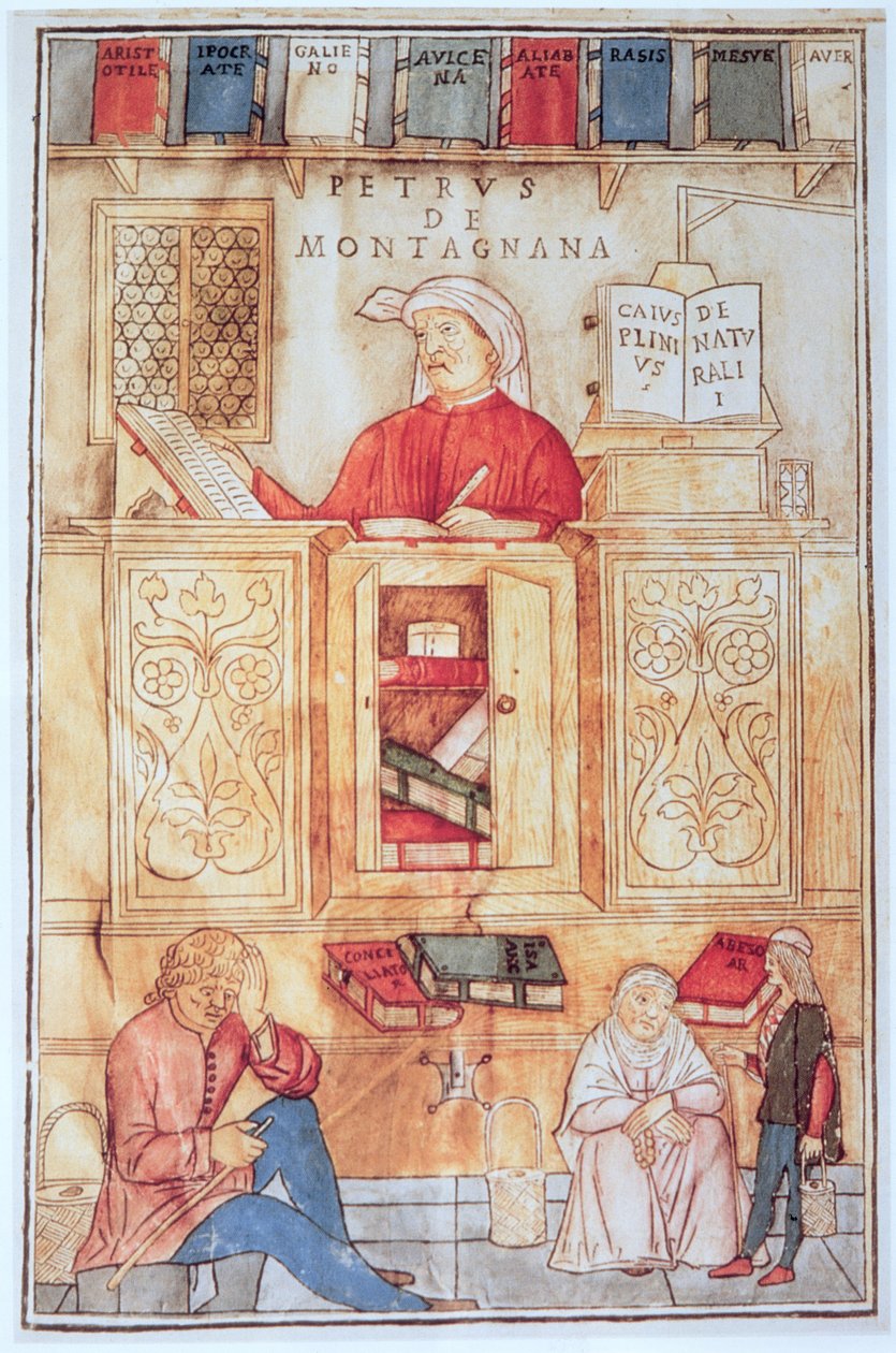 Petrus de Montagnana, illustration de 