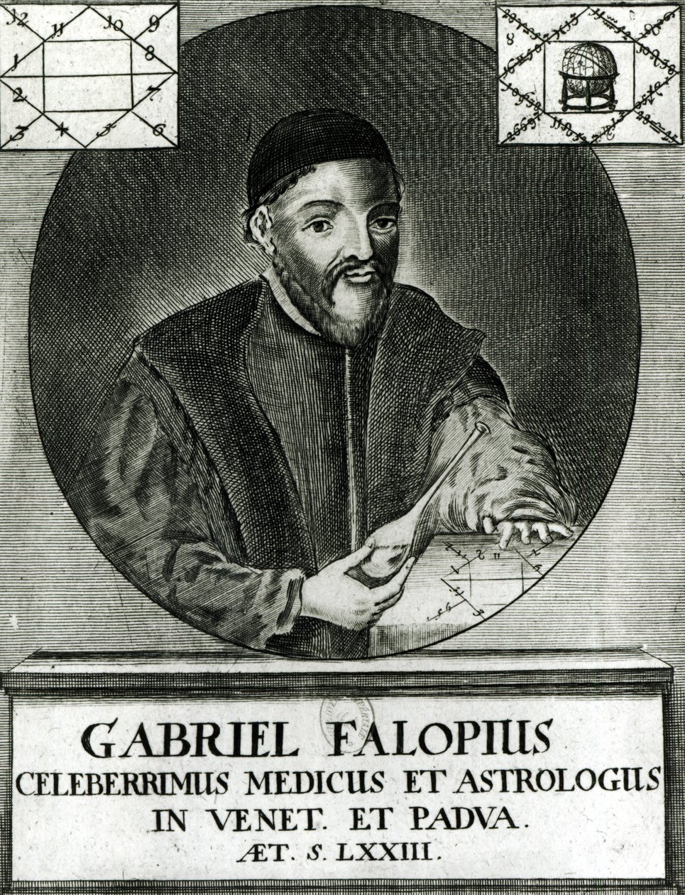 Portrait de Gabriel Fallope (1523-62) - Italian School