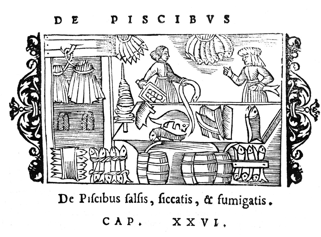 Salage, séchage et fumage du poisson, illustration de Historia de Gentibus Septentrionalibus par Olaus Magnus (1490-1558), publié à Rome, 1555 - Italian School