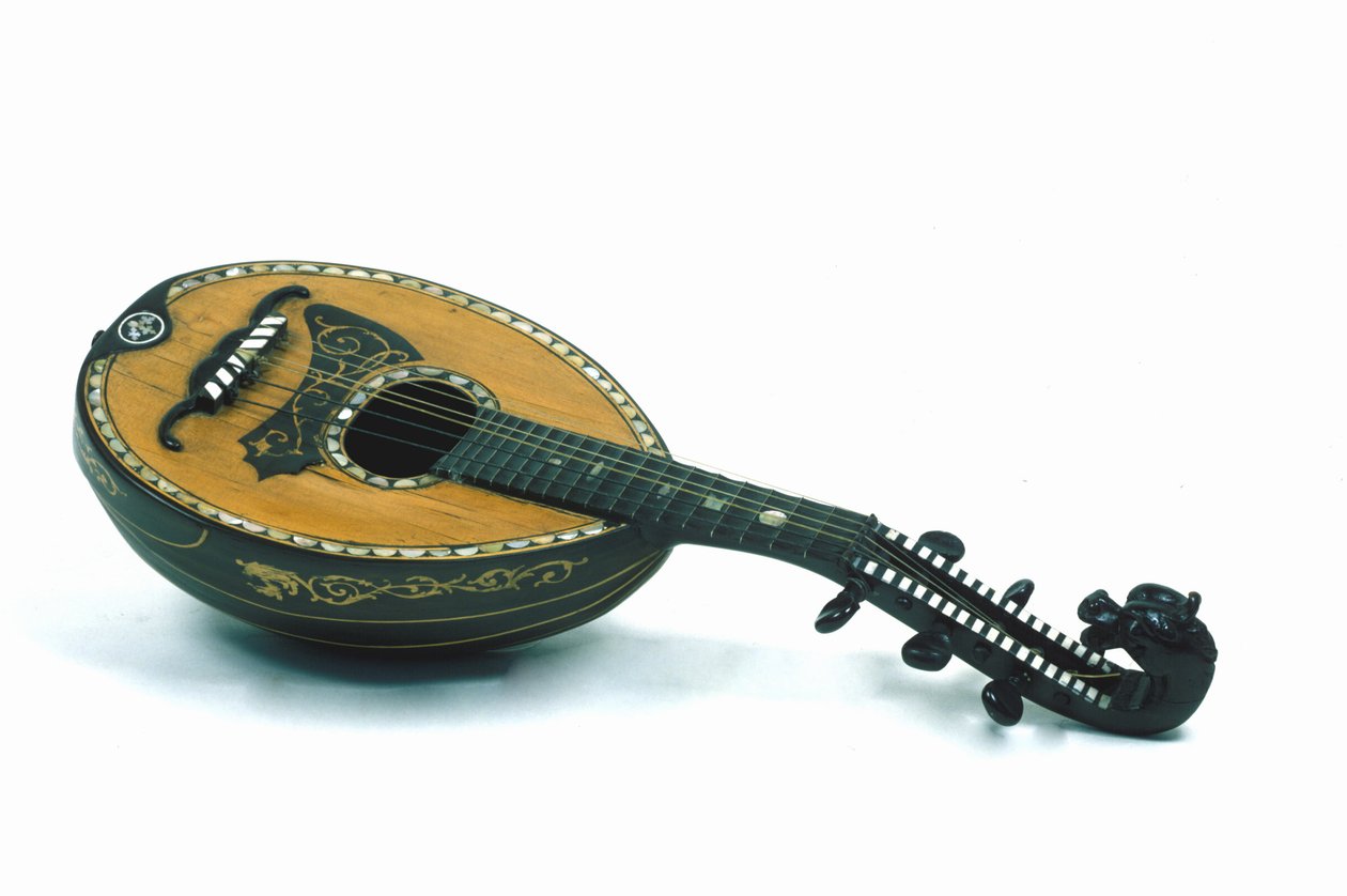 Nature morte de mandoline de type milanais. XVIIIe siècle - Italian School