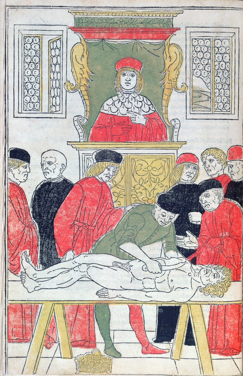 La dissection, illustration de 