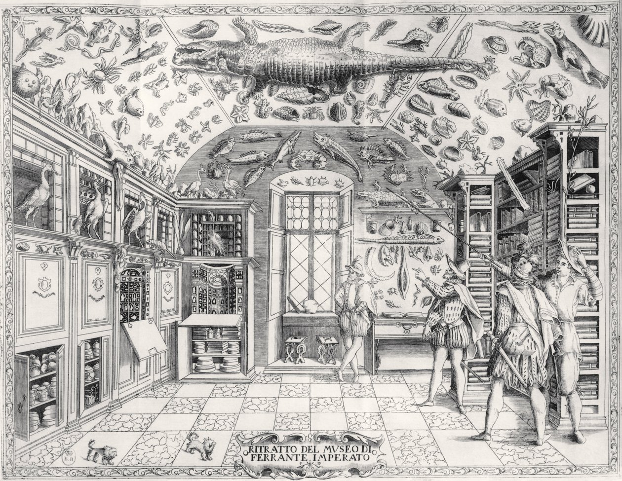 Le Musée d