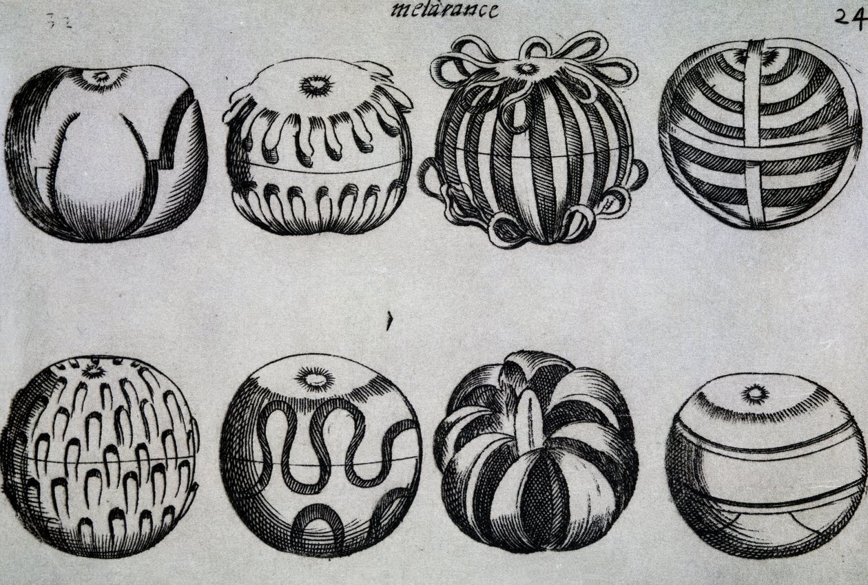 Façons de couper les fruits, illustration de Li tre trattati di messer Mattia Giegher bavaro di Mosburc, Trinciante dell