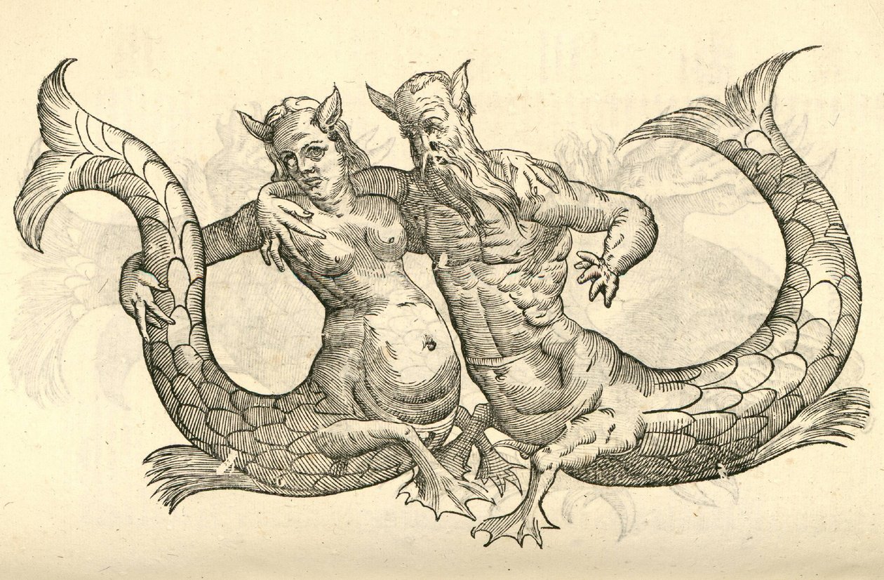 Illustration de Monstra Niliaca Parei de l