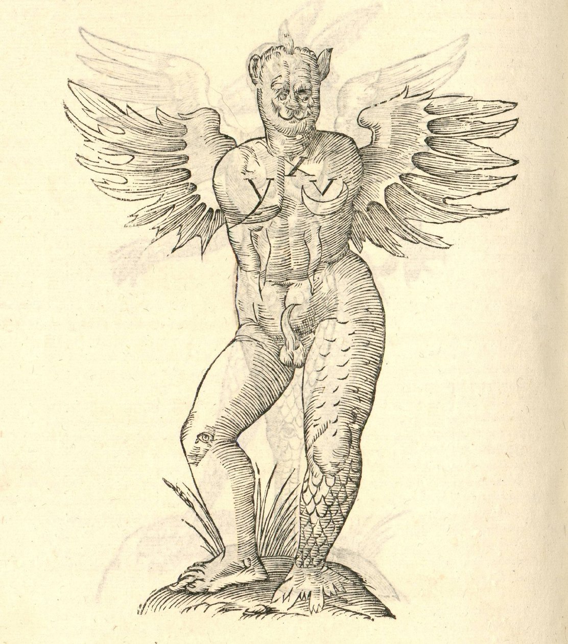 Illustration de Monstrum cornutum, et alatum aliud de l
