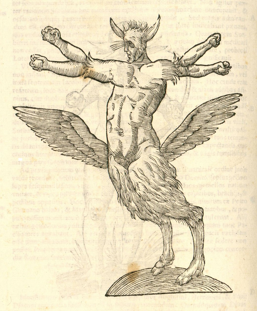 Illustration de Monstrum tetrachiron alatum capite humano aurito de l