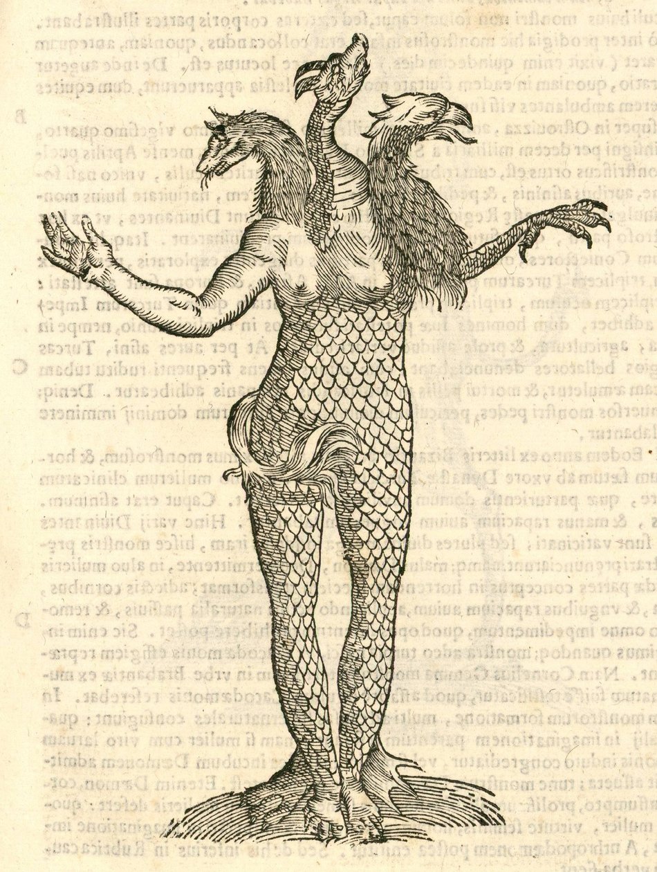 Illustration de Monstrum triceps capite Vulpis, Draconis, & Aquilae de l