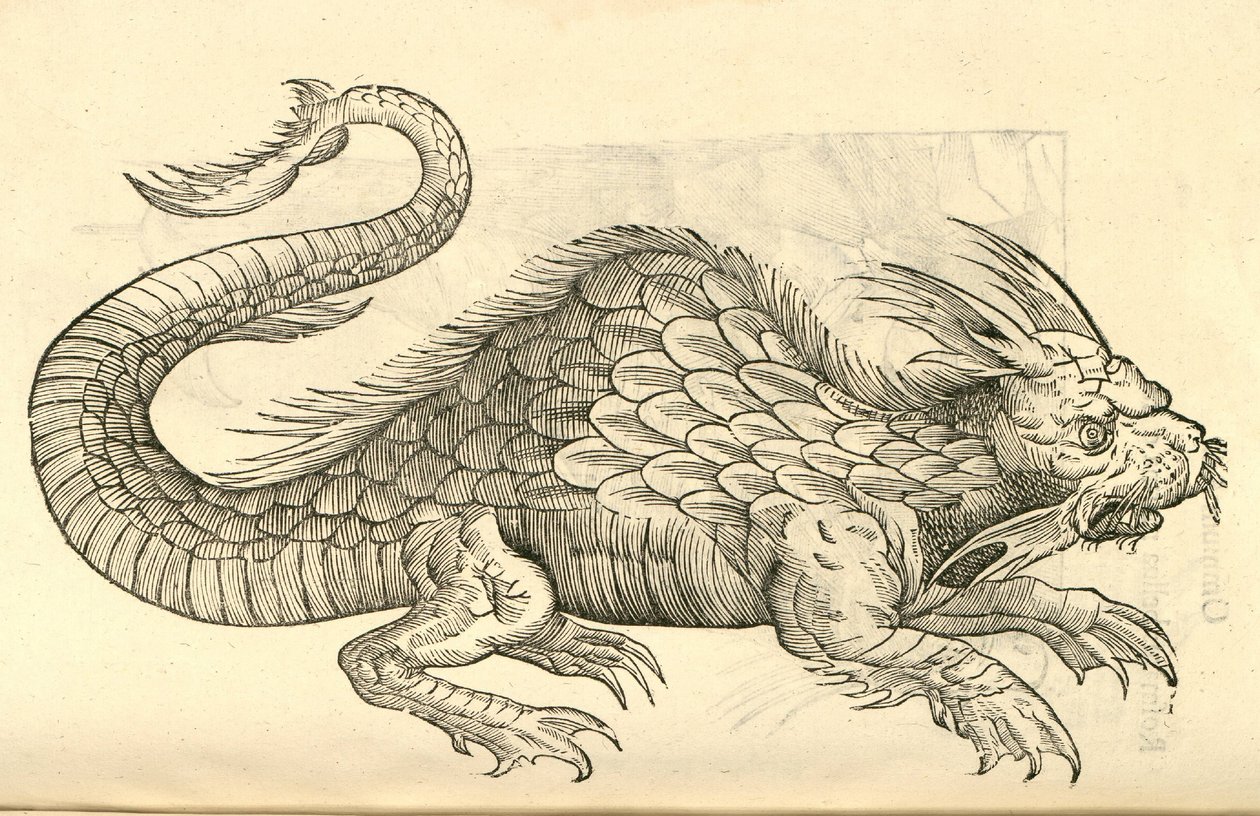 Illustration de Orobonis Piscis effigies de l