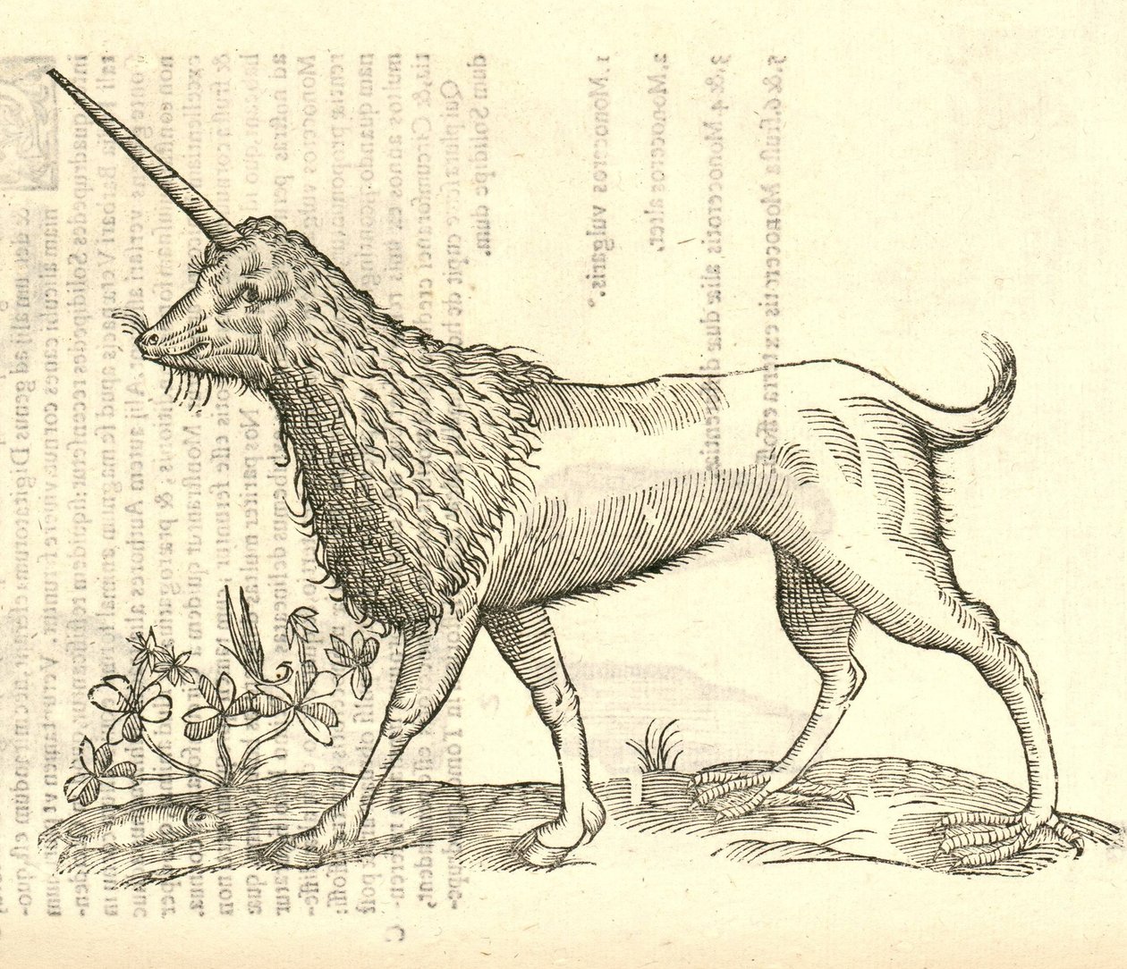 Illustration d