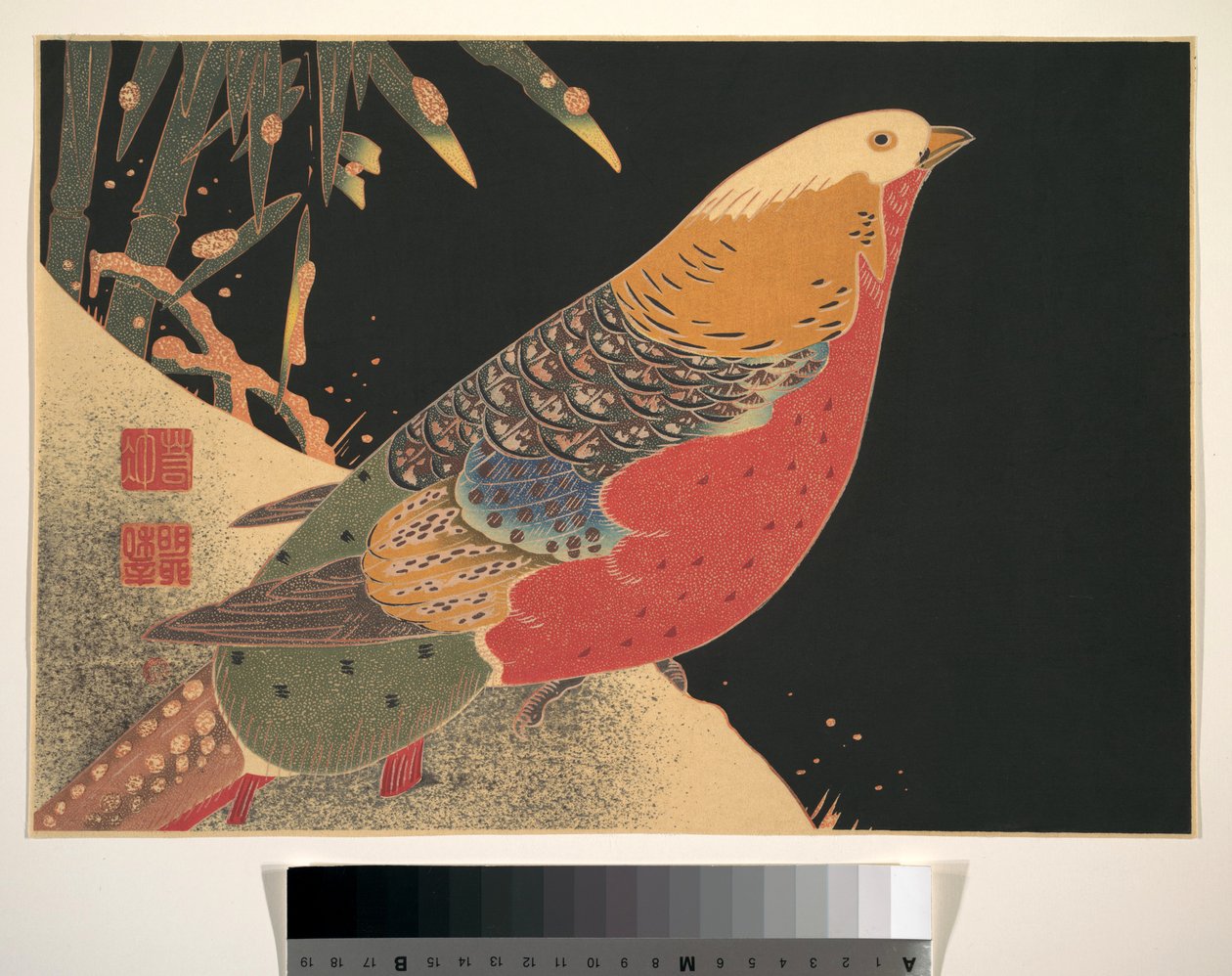Faisan doré dans la neige, vers 1900 (gravure sur bois, encre et couleur sur papier) - Ito Jakuchu
