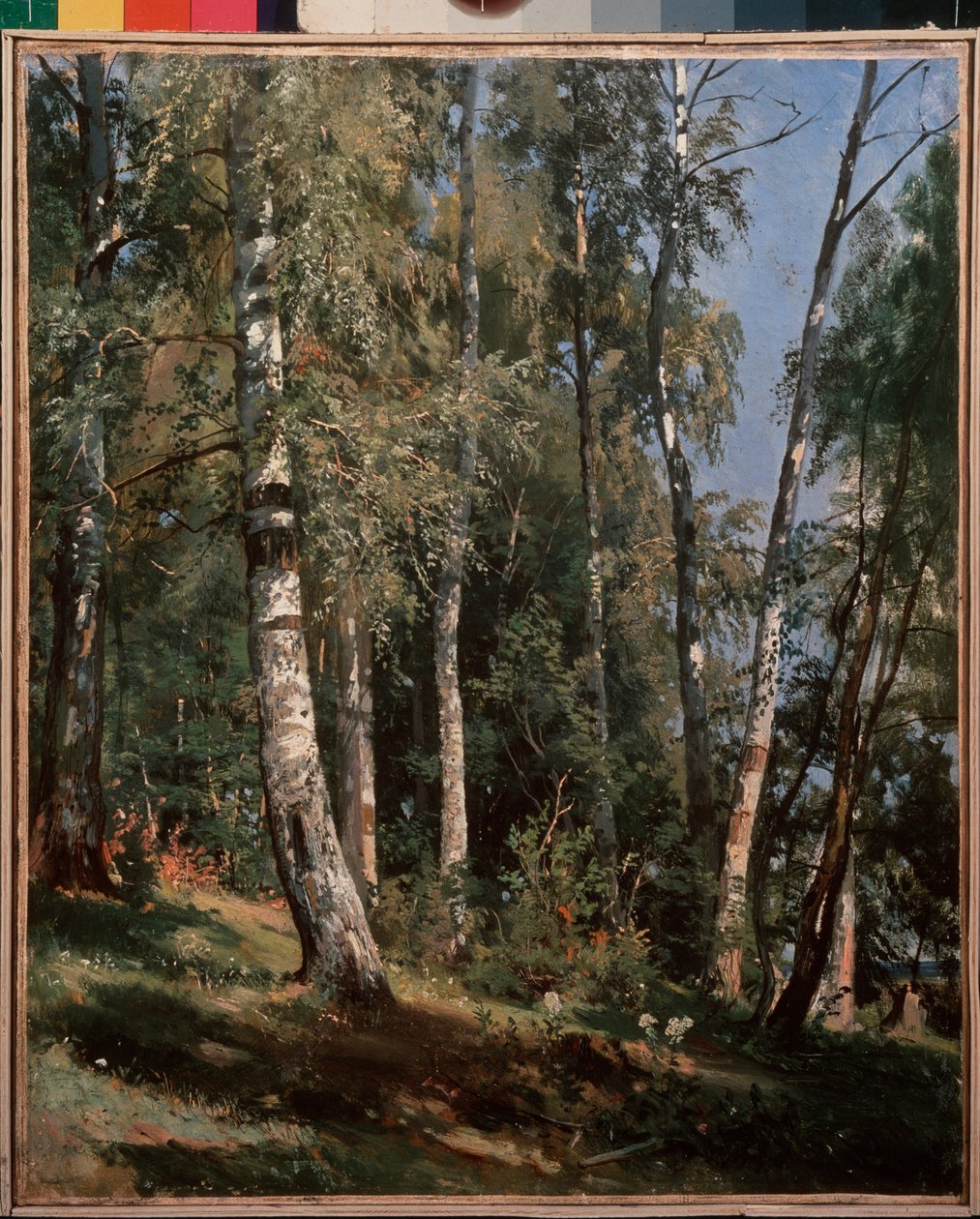 Bosquet de bouleaux - Ivan Ivanovich Shishkin