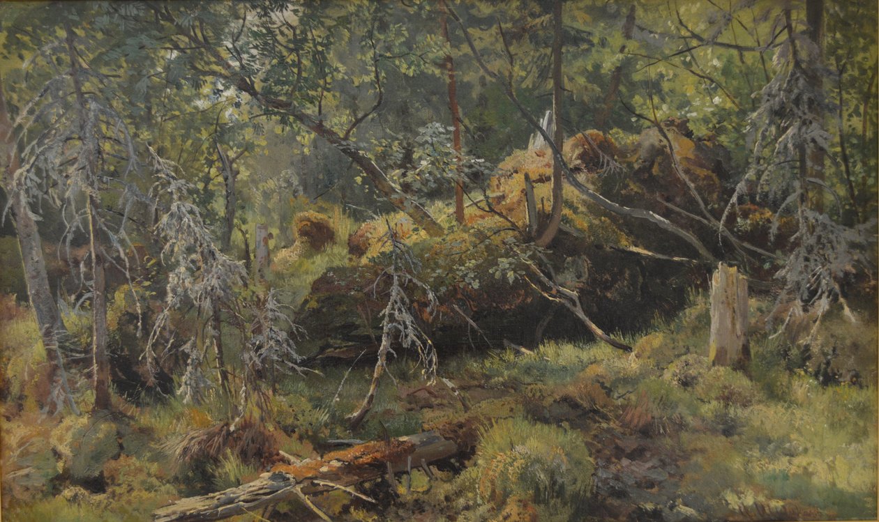 Les branches. Une étude - Ivan Ivanovich Shishkin