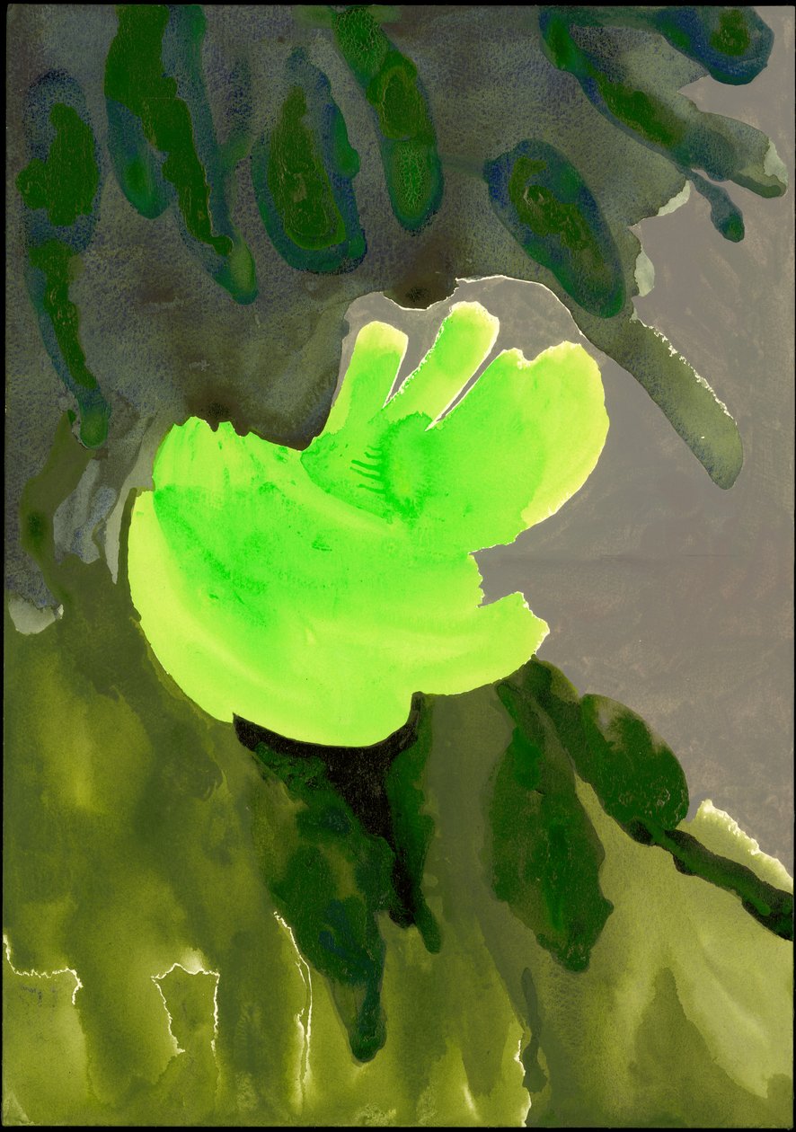 Série Kensington Gardens : Cascade de feuilles, 2007 - Izabella Godlewska de Aranda