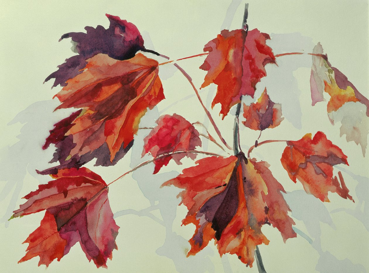 No.24 Feuilles d