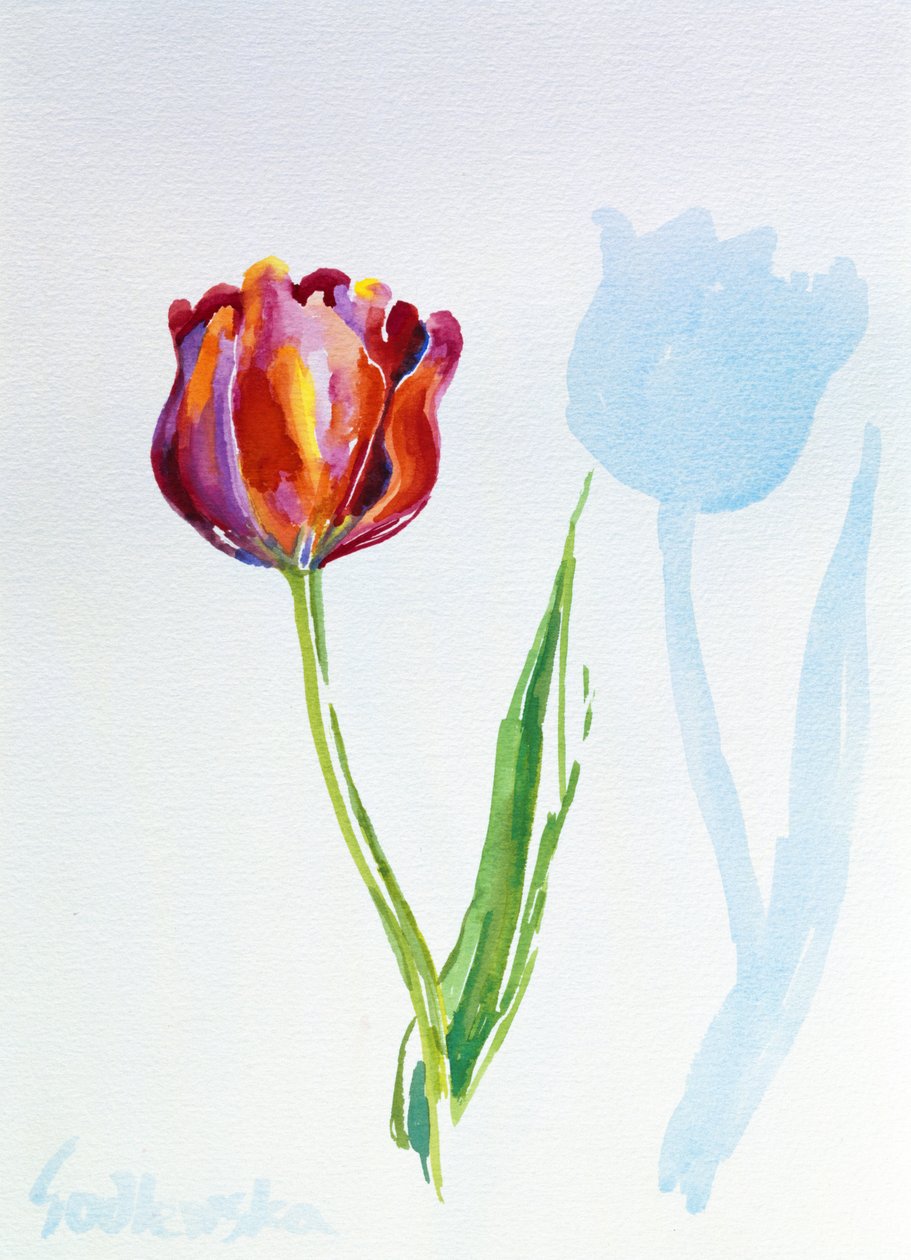 Tulipe - Izabella Godlewska de Aranda