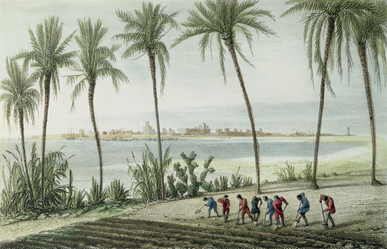 Vue générale de Cadix, gravée par John Pye (1782-1874) - J. Taylor