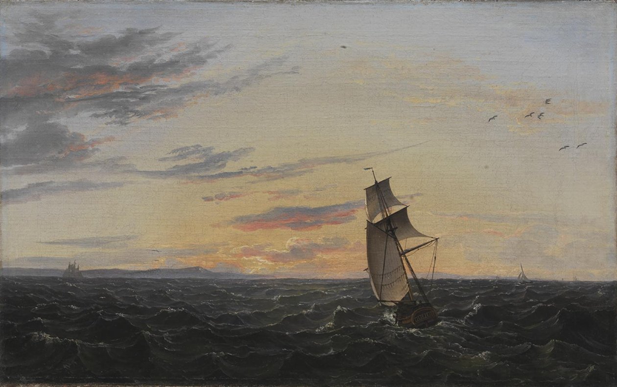 Paysage marin. La côte de l