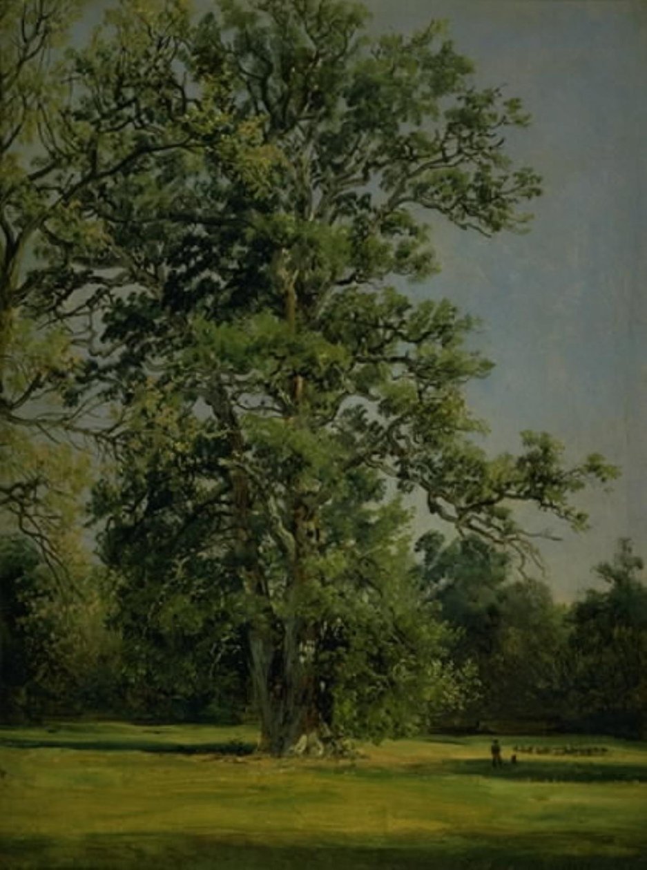 Un chêne. Vue du jardin à Wörlitz près de Dessau - Johan Christian Dahl