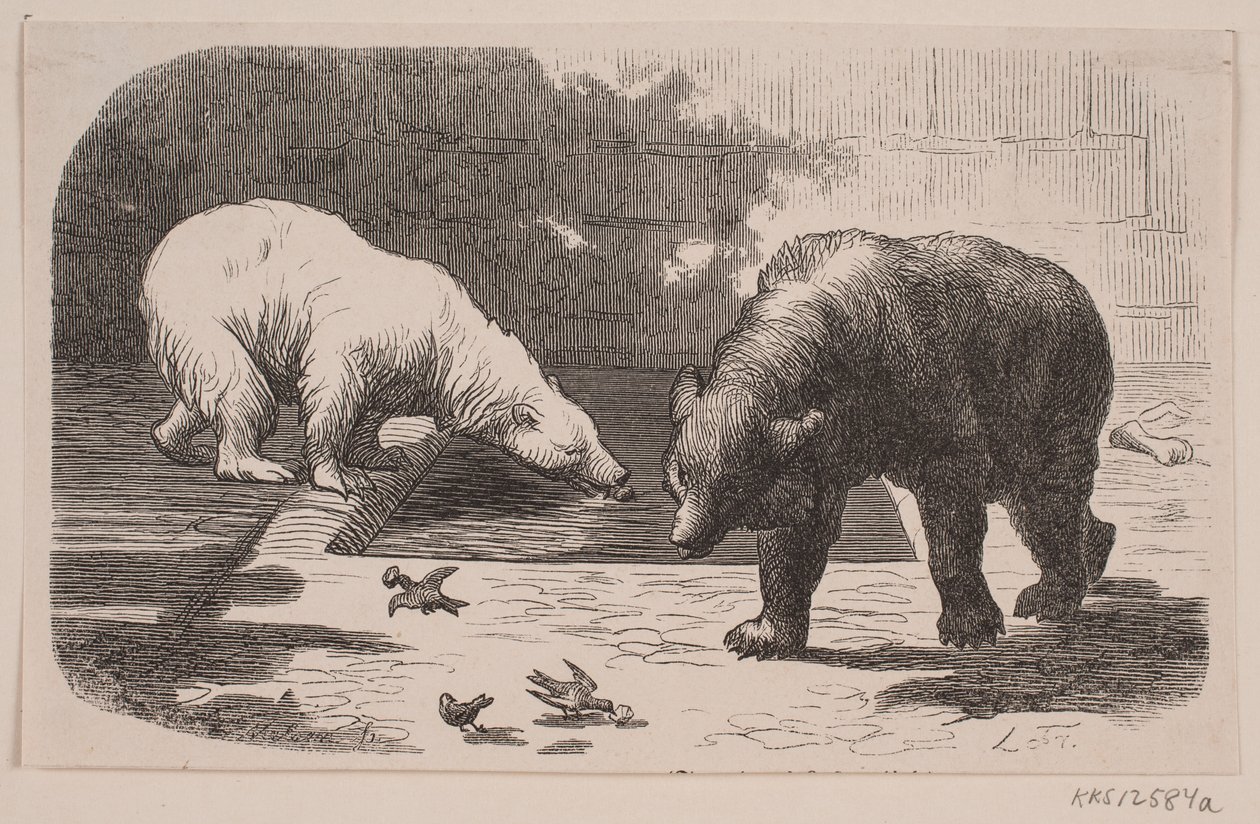 Ours au Jardin des Plantes - J.C. Nielsen