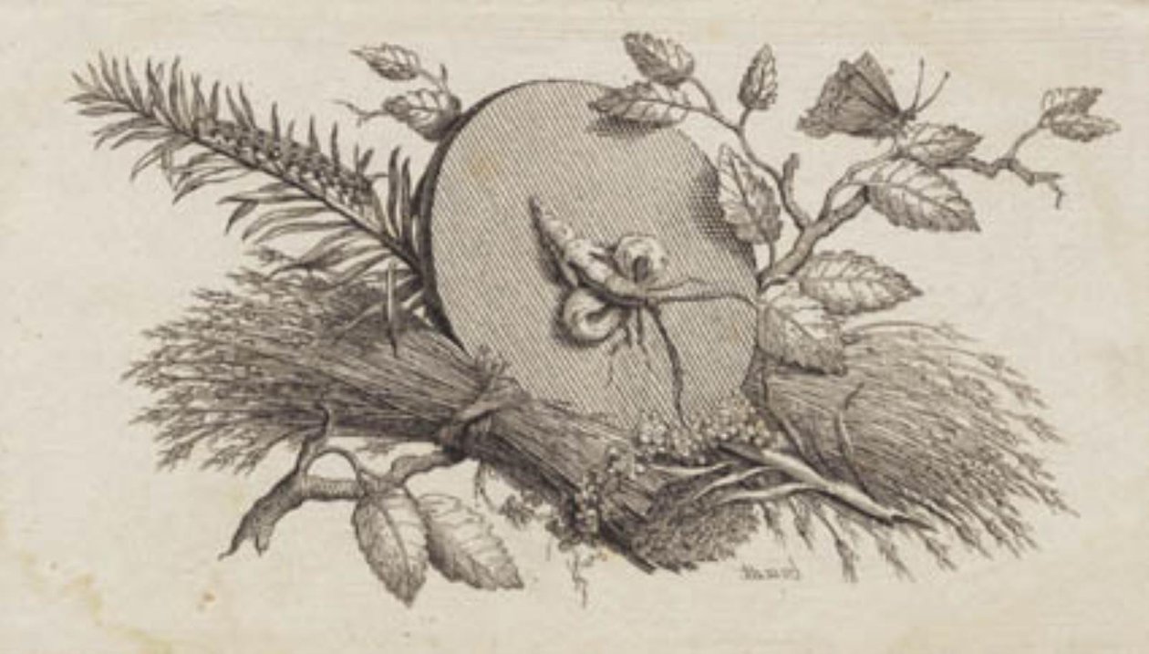 Un disque rond incliné parmi des feuilles et des insectes - J.F. Clemens
