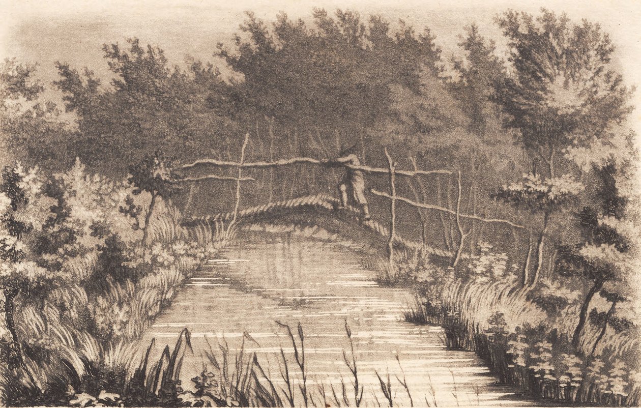 Partie du jardin de Sanderumgaard - J.F. Clemens