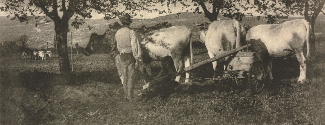 Équipe de labour - J. Craig Annan